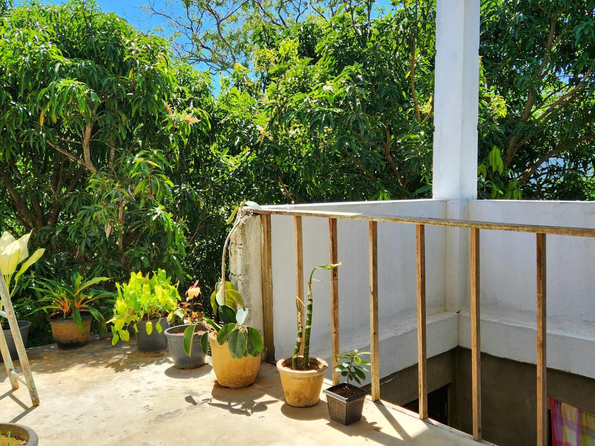 Sun Sea Guest Home Tangalle Buitenkant foto